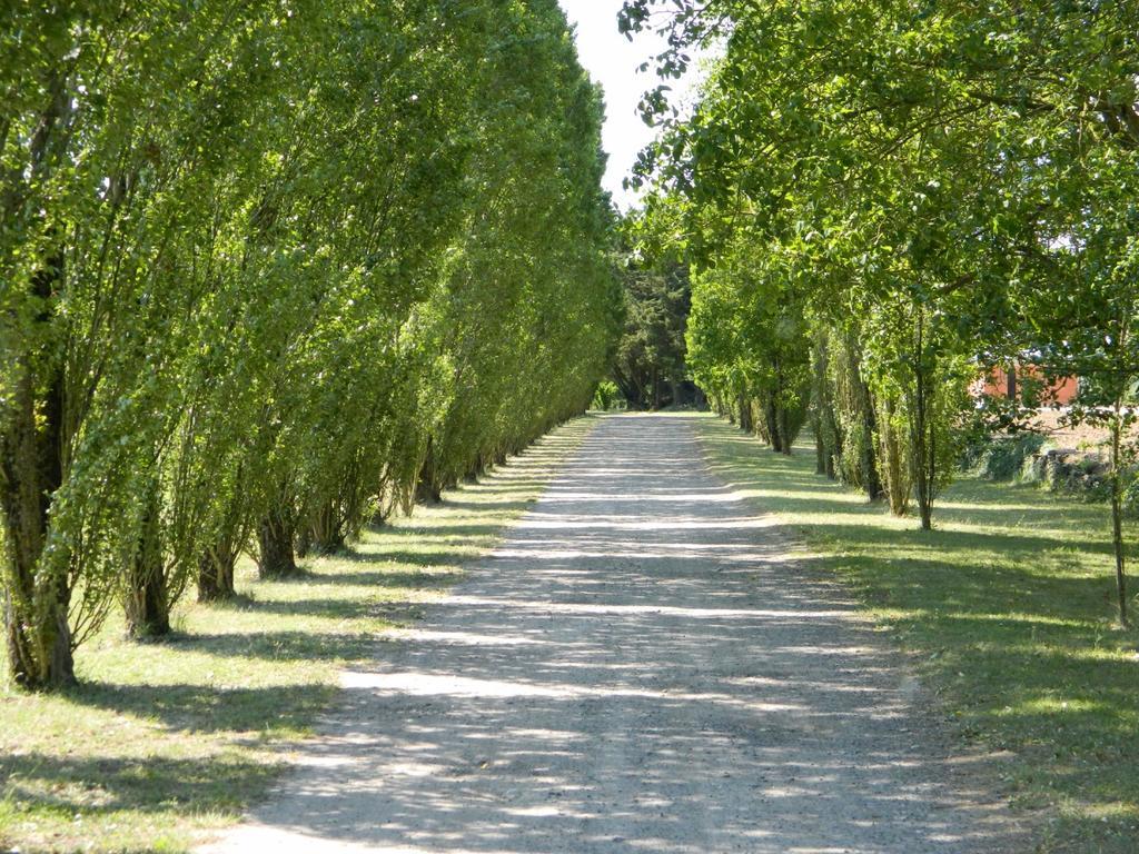 Gite De Cray Lussault-sur-Loire 외부 사진